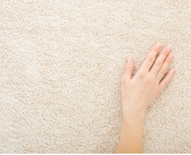 Clean Carpet